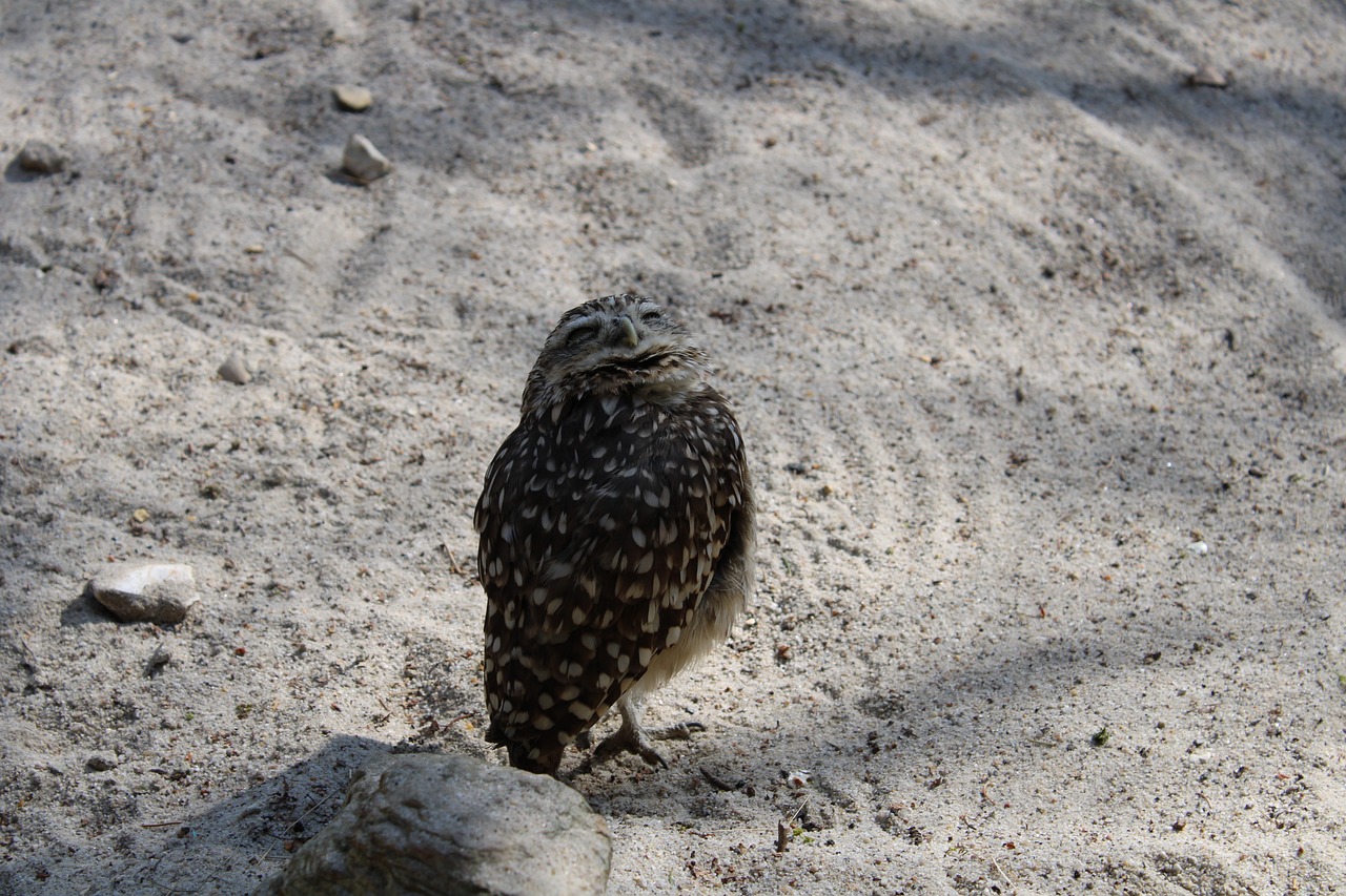 Green Travel Tips for Discovering Australia’s Cairns